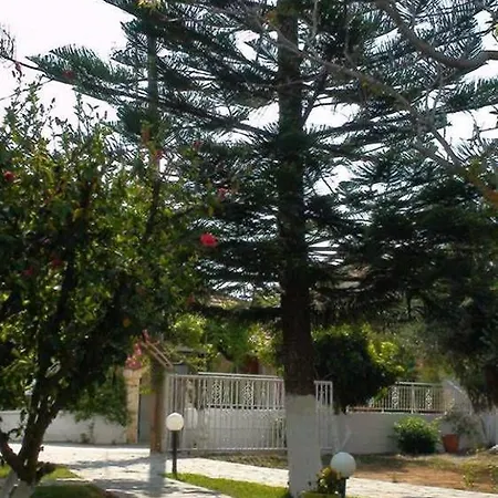 Marianthi לאסי