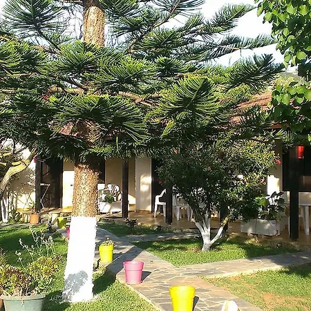 Lejlighed Marianthi Lassi (Kefalonia)