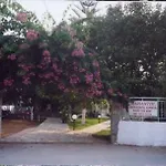 Marianthi * לאסי